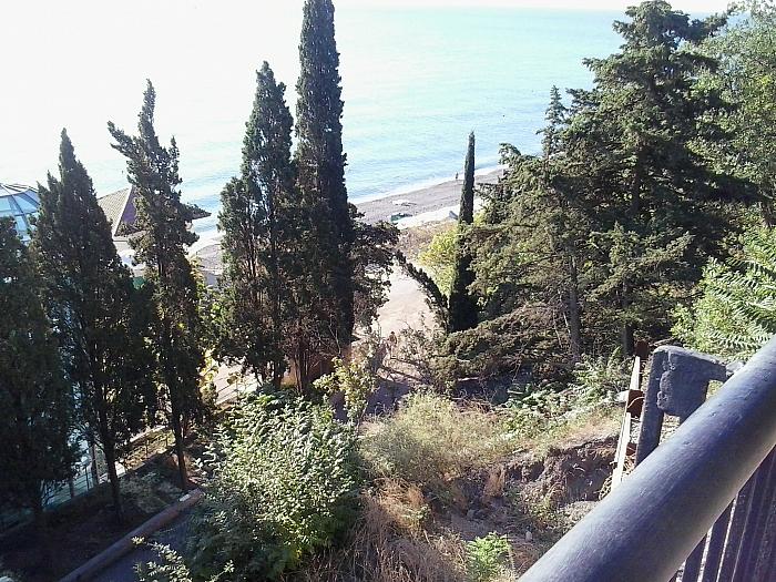 Пансионат Алушта Профессорский уголок